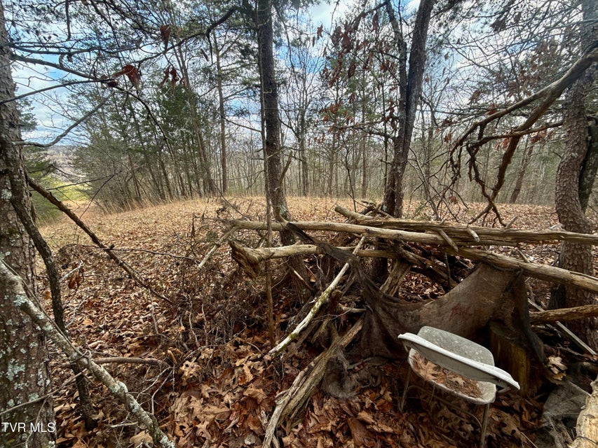 Photo #18: 25/Ac Tbd Coy Bradley Lane