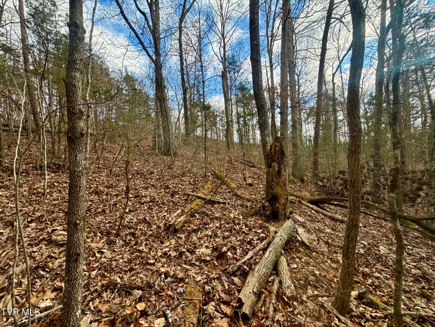 Photo #20: 25/Ac Tbd Coy Bradley Lane