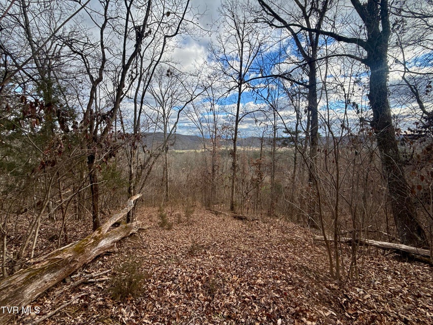 Photo #22: 25/Ac Tbd Coy Bradley Lane