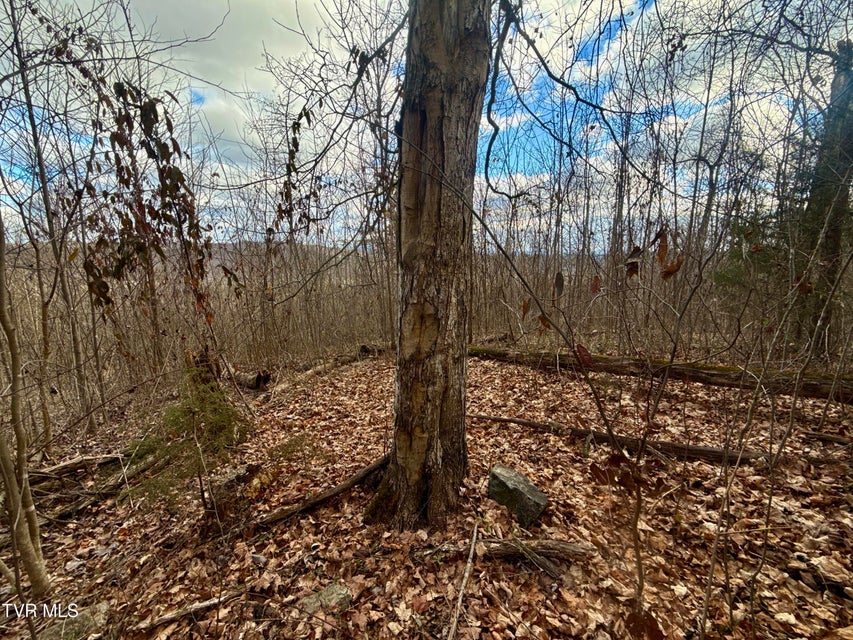 Photo #23: 25/Ac Tbd Coy Bradley Lane