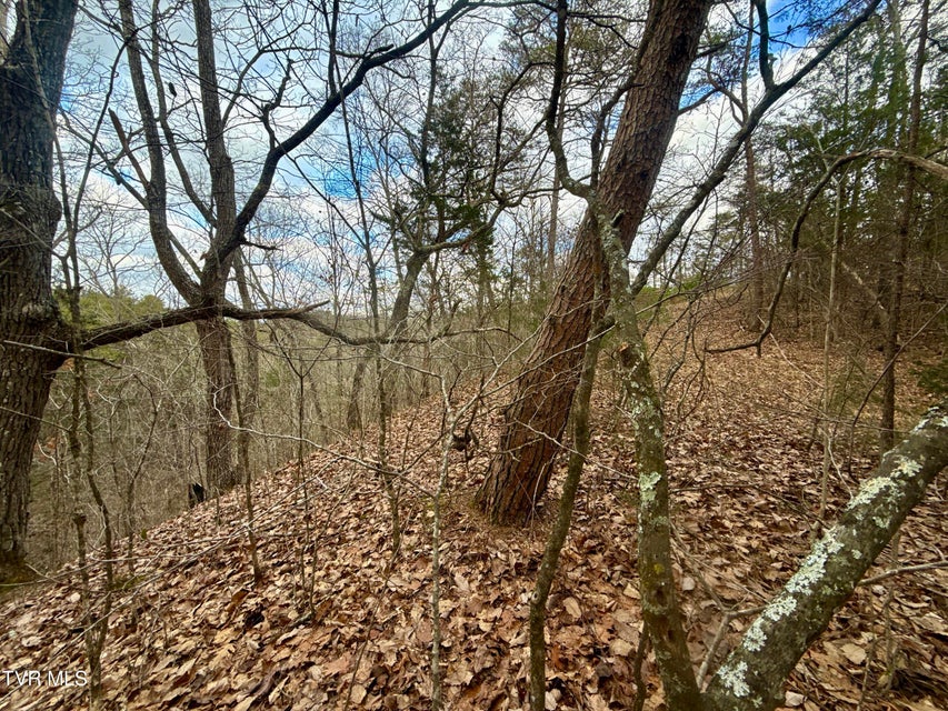 Photo #26: 25/Ac Tbd Coy Bradley Lane