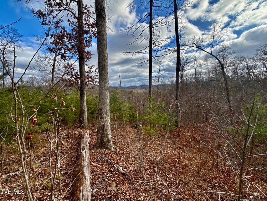 Photo #28: 25/Ac Tbd Coy Bradley Lane