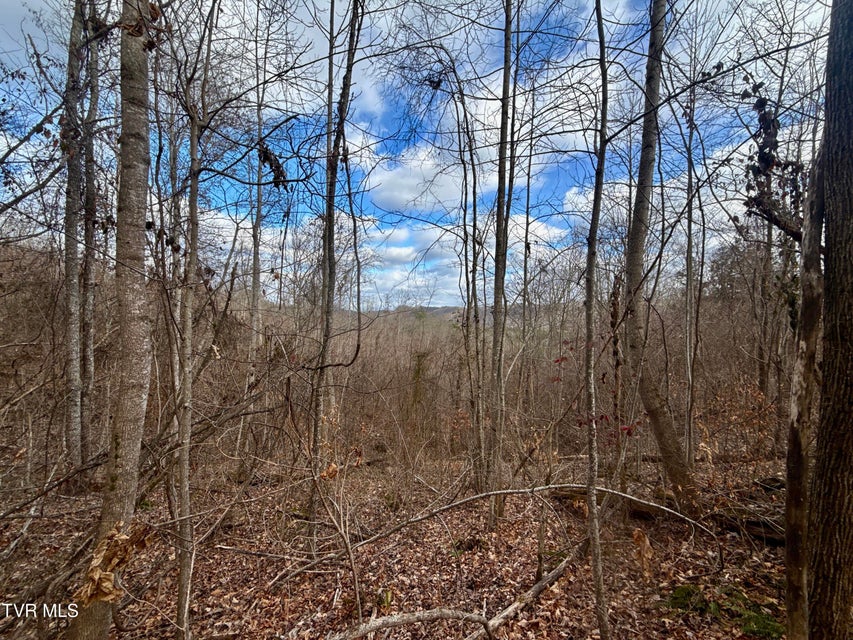 Photo #29: 25/Ac Tbd Coy Bradley Lane