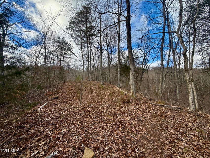 Photo #30: 25/Ac Tbd Coy Bradley Lane