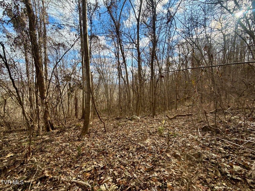 Photo #31: 25/Ac Tbd Coy Bradley Lane