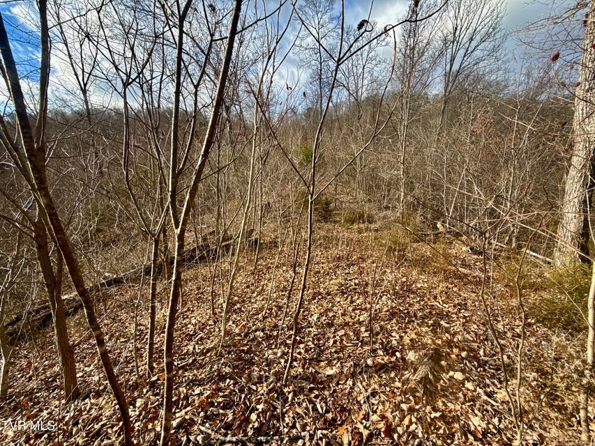 Photo #33: 25/Ac Tbd Coy Bradley Lane