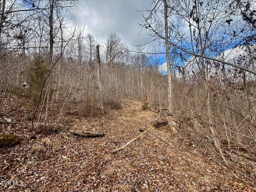 Photo #34: 25/Ac Tbd Coy Bradley Lane