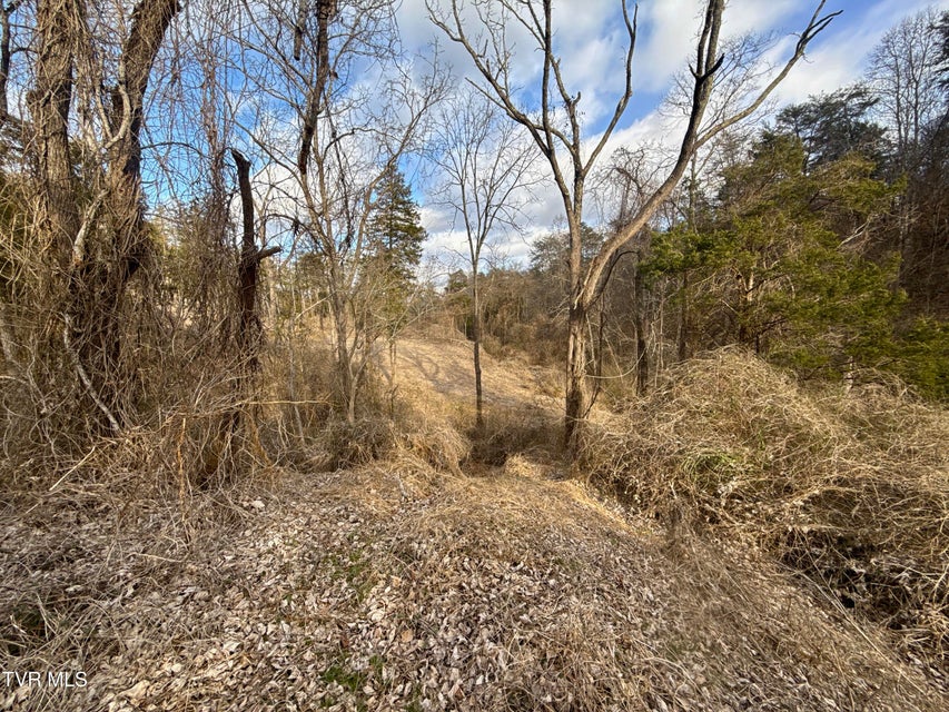 Photo #35: 25/Ac Tbd Coy Bradley Lane