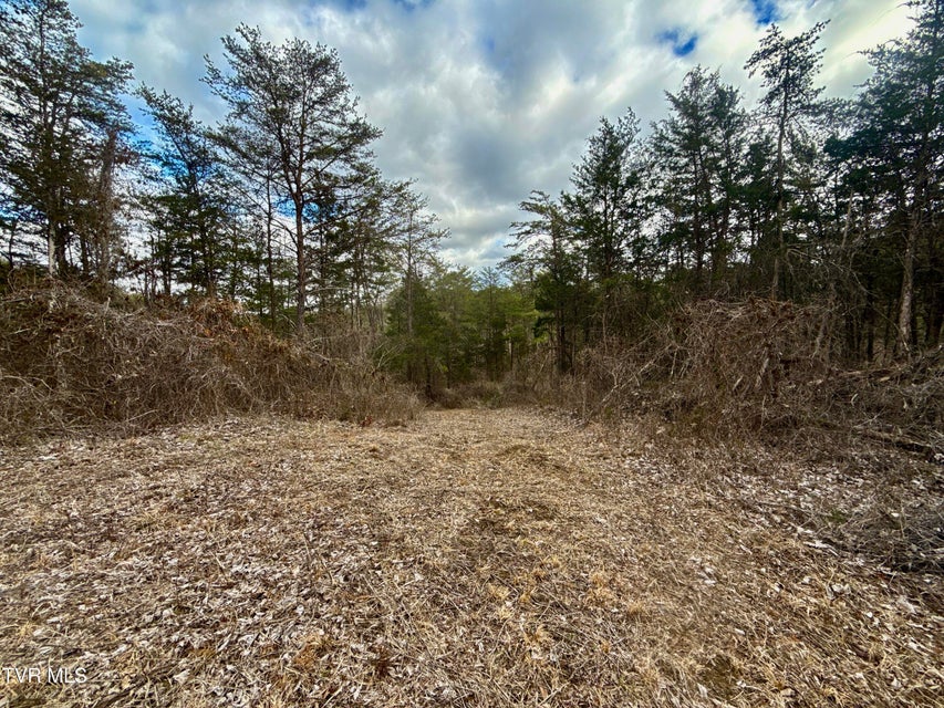 Photo #36: 25/Ac Tbd Coy Bradley Lane