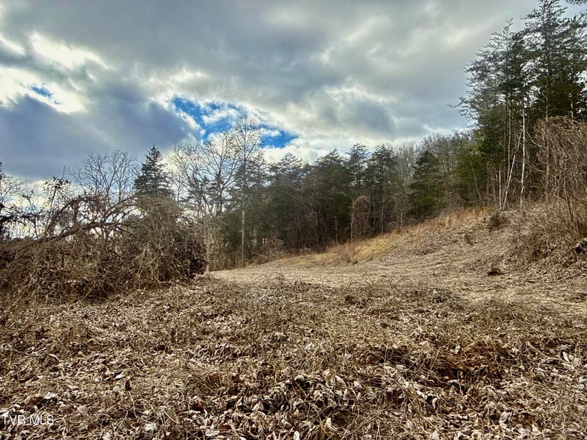 Photo #37: 25/Ac Tbd Coy Bradley Lane