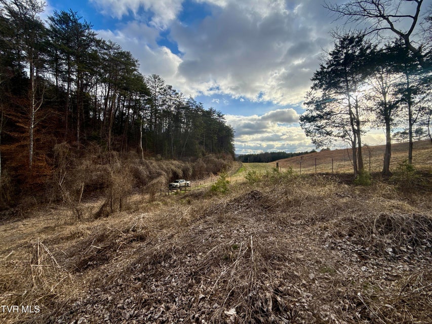 Photo #38: 25/Ac Tbd Coy Bradley Lane