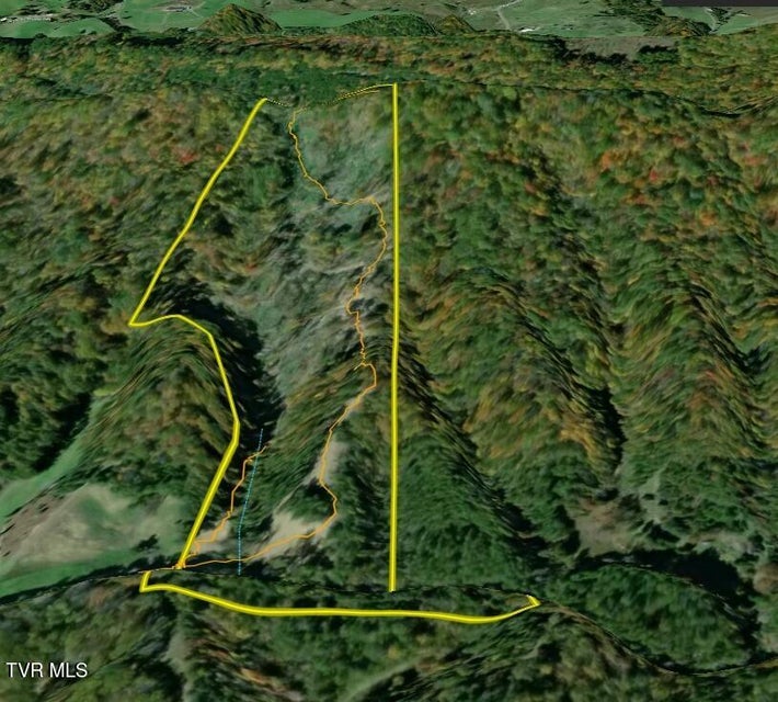 Photo #42: 25/Ac Tbd Coy Bradley Lane