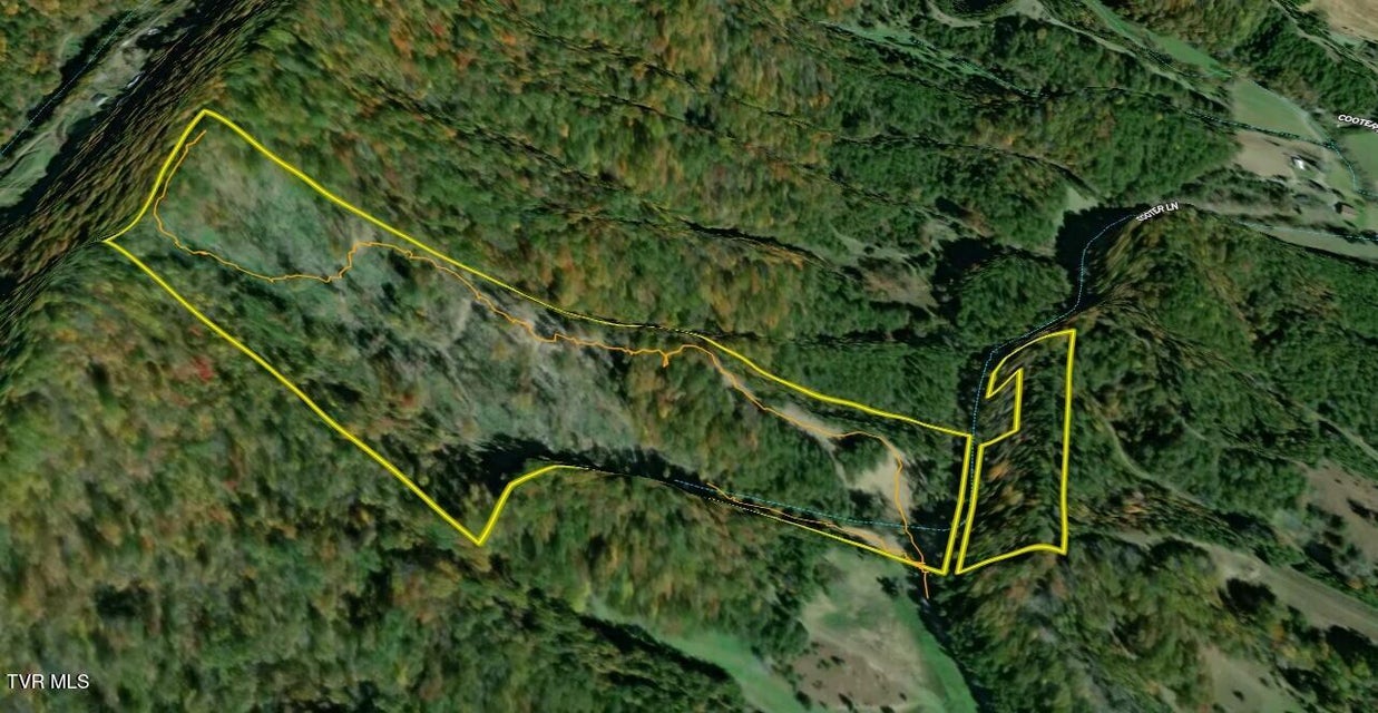 Photo #44: 25/Ac Tbd Coy Bradley Lane