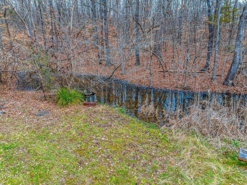 Photo #6: 0 Highway 321 