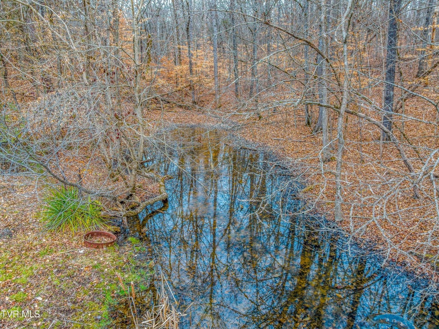 Photo #7: 0 Highway 321 