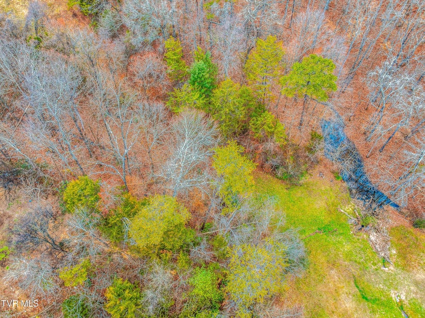 Photo #10: 0 Highway 321 