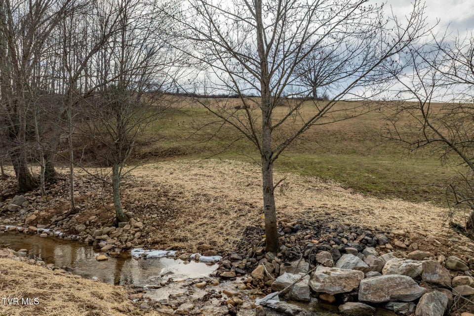 Photo #4: Tbd Stout Branch Road