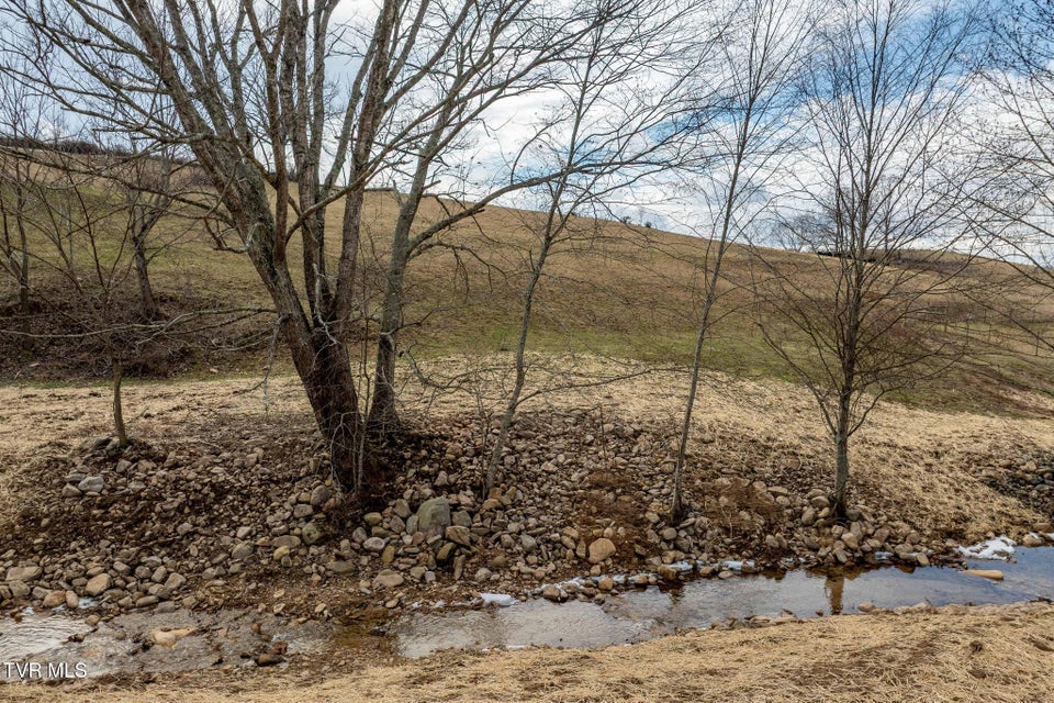 Photo #6: Tbd Stout Branch Road