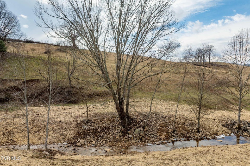 Photo #7: Tbd Stout Branch Road
