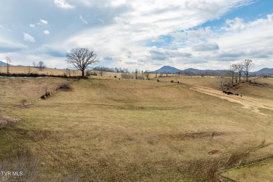 Photo #8: Tbd Stout Branch Road
