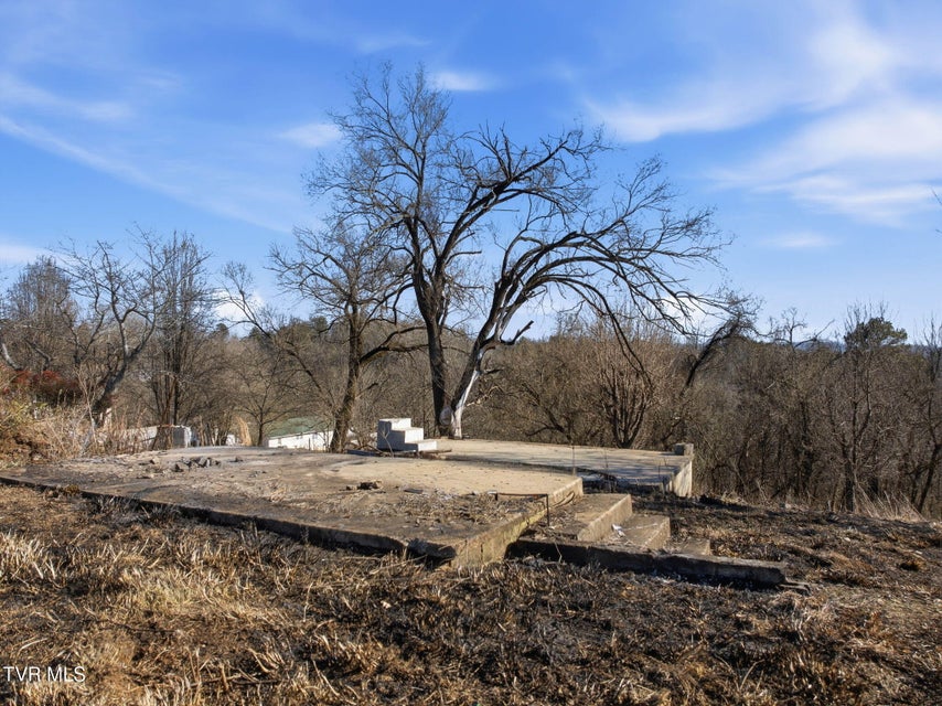 Photo #15: 1515 Bloomingdale Road