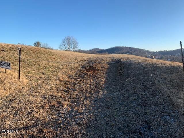 Photo #12: 2005 Fairveiw Avenue