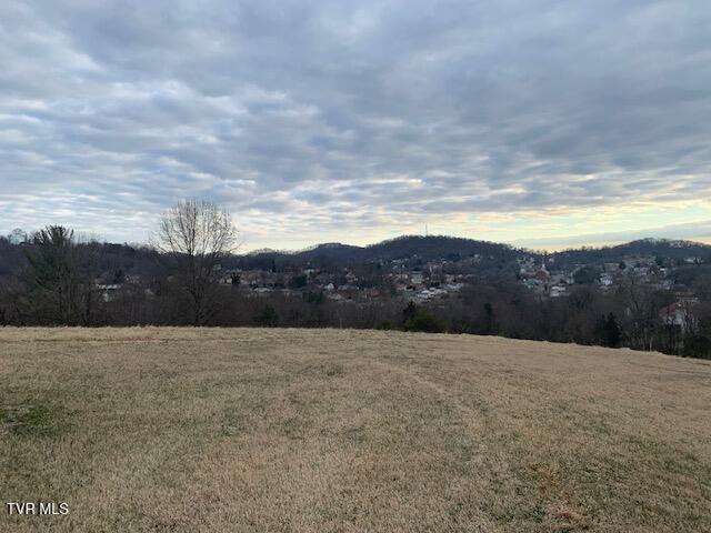 Photo #6: 2005 Fairveiw Avenue