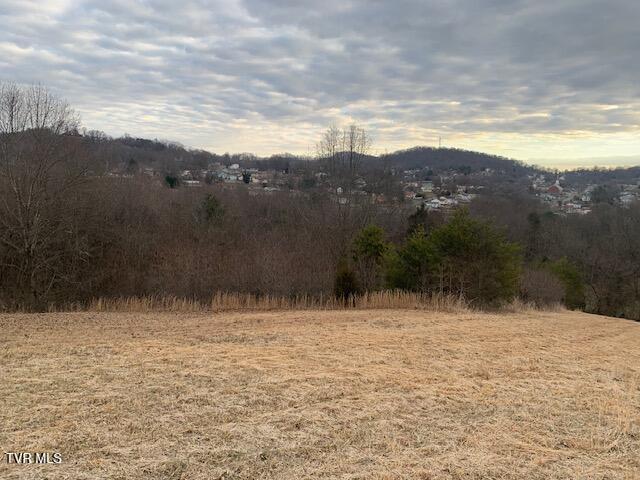 Photo #9: 2005 Fairveiw Avenue