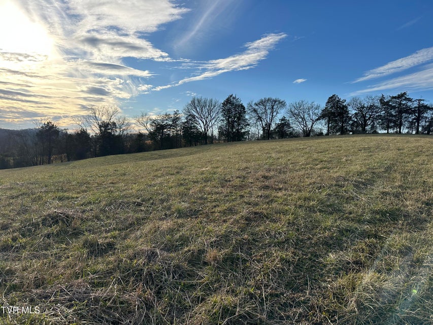 Photo #7: Lot 2 Hoover Road