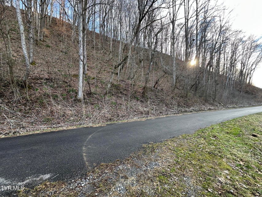 Photo #11: Lot 2 Hoover Road