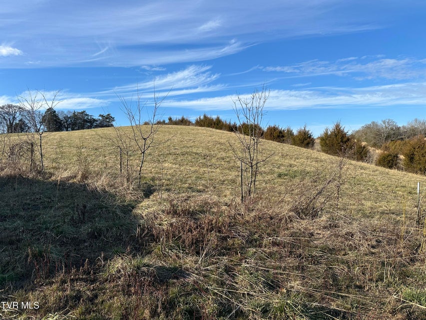 Photo #6: Lot 2 Hoover Road