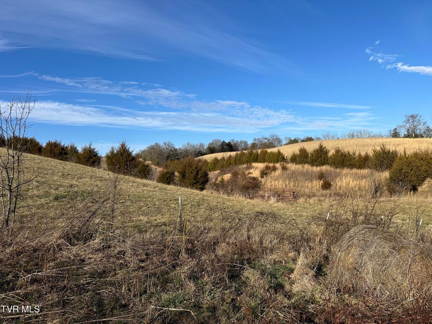 Photo #5: Lot 2 Hoover Road