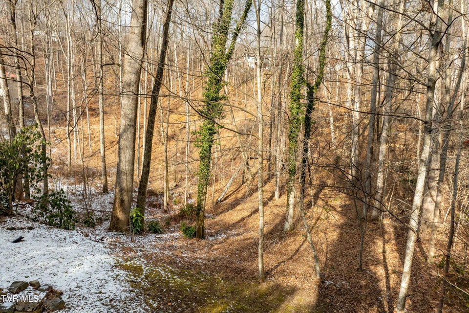 Photo #49: 108 Saratoga Circle