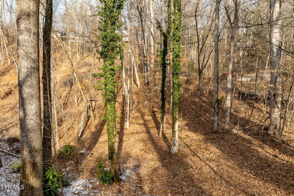 Photo #50: 108 Saratoga Circle