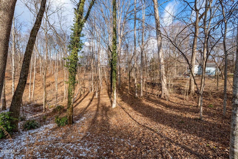 Photo #63: 108 Saratoga Circle