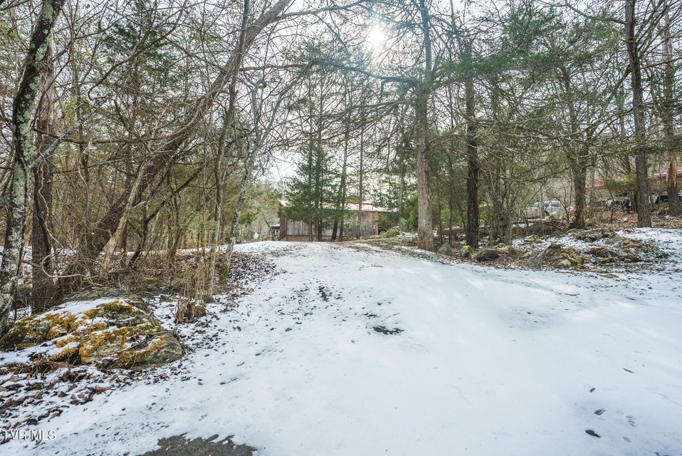 Photo #24: 170 & 158 Dalson Road