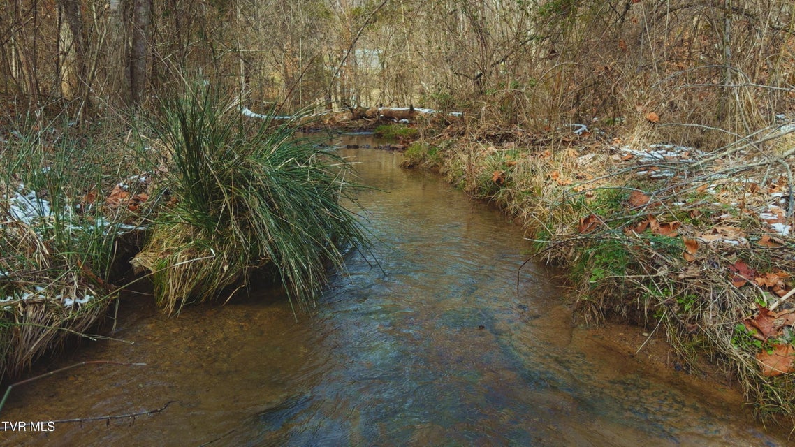 Photo #40: 170 & 158 Dalson Road