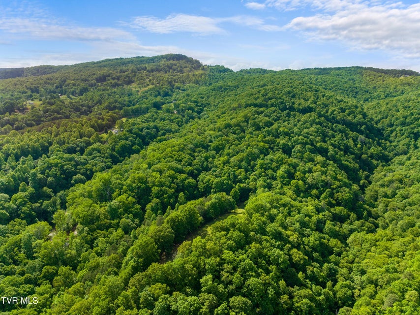 Photo #81: 236 Beech Street