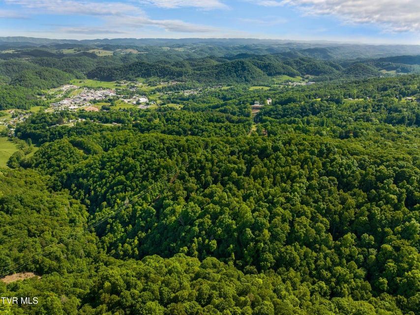 Photo #97: 236 Beech Street