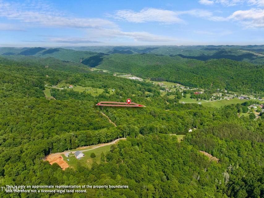 Photo #82: 236 Beech Street