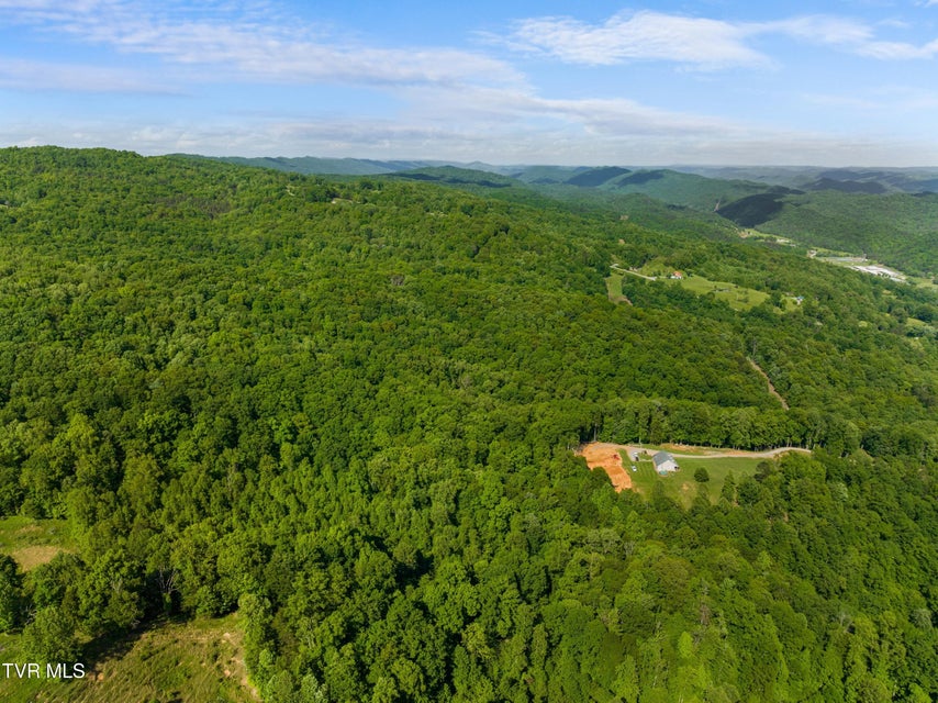 Photo #83: 236 Beech Street