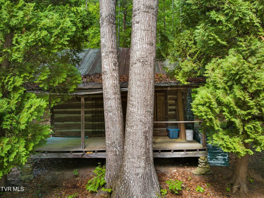 Photo #21: 236 Beech Street