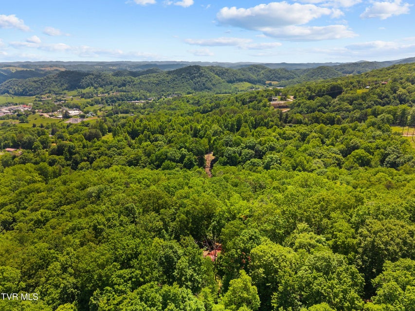 Photo #24: 236 Beech Street