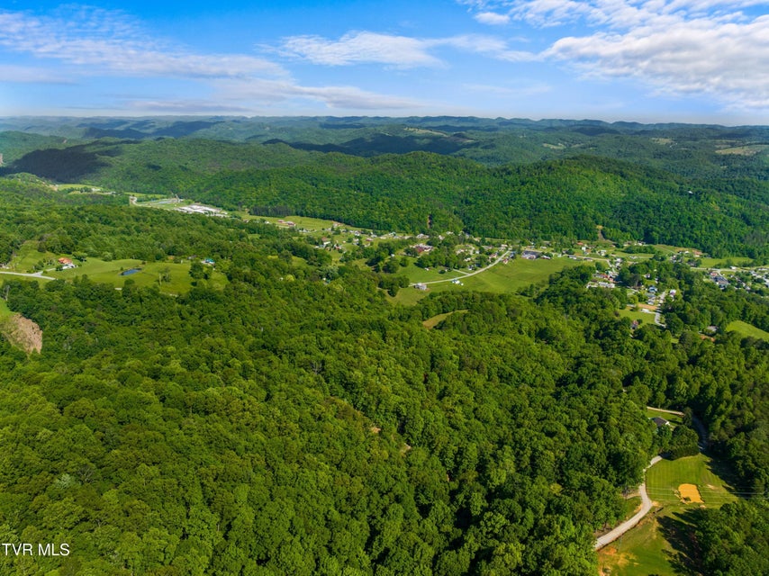 Photo #90: 236 Beech Street