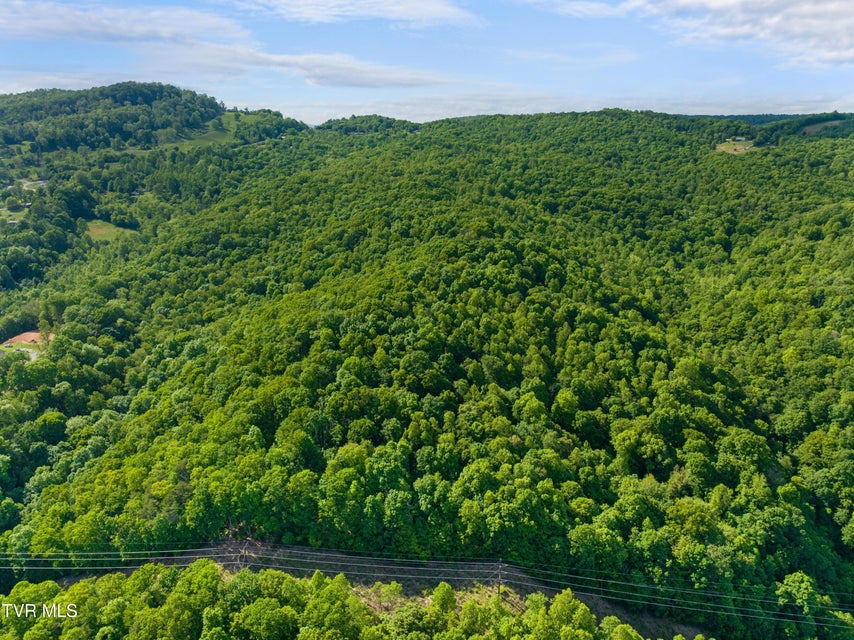 Photo #88: 236 Beech Street