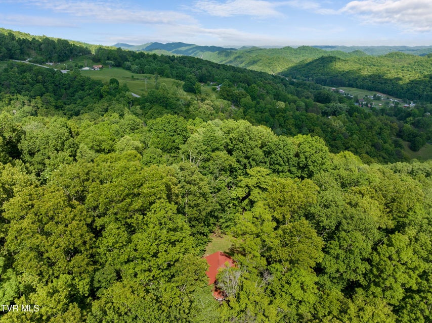 Photo #85: 236 Beech Street