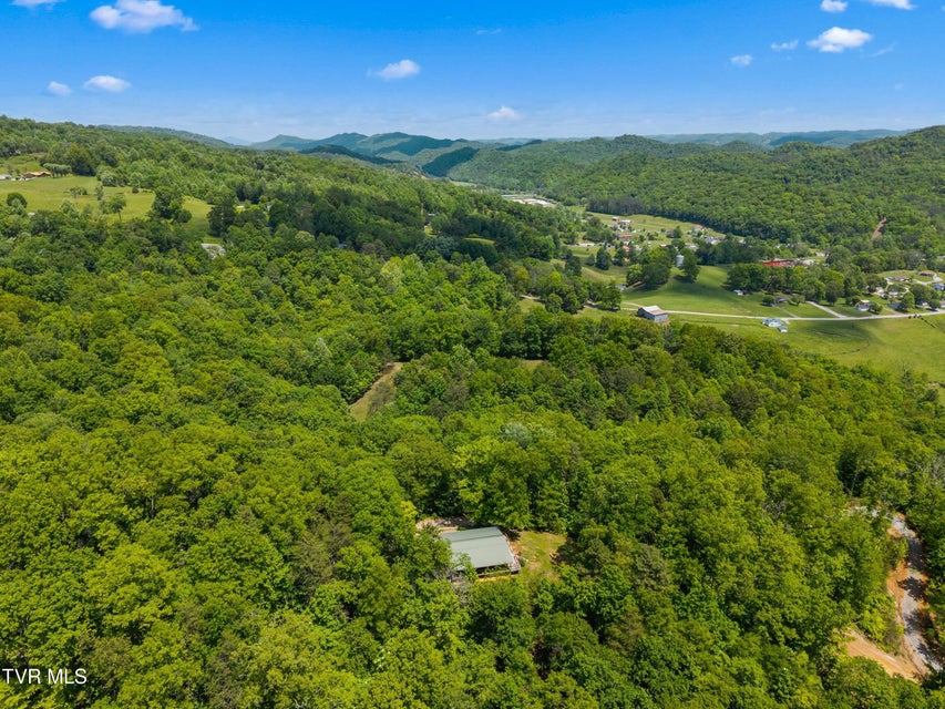 Photo #87: 236 Beech Street