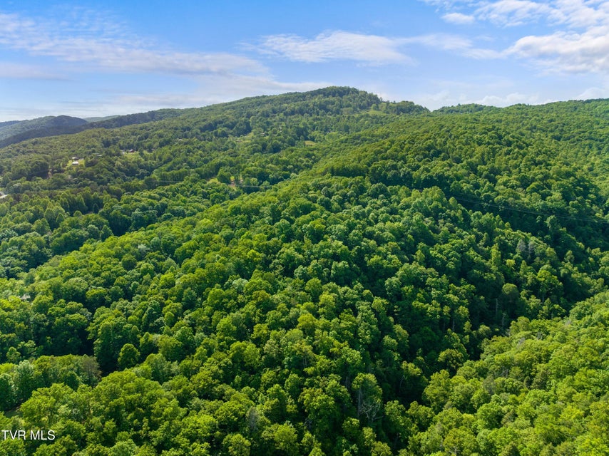 Photo #93: 236 Beech Street