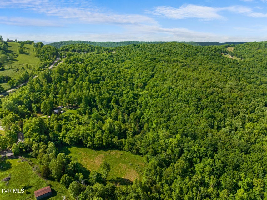 Photo #91: 236 Beech Street