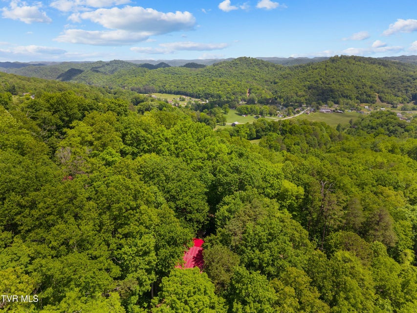 Photo #89: 236 Beech Street